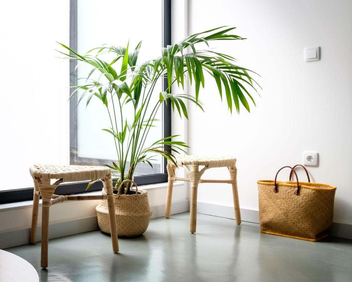 Casa Do Vento By Home Sweet Home Aveiro Ngoại thất bức ảnh