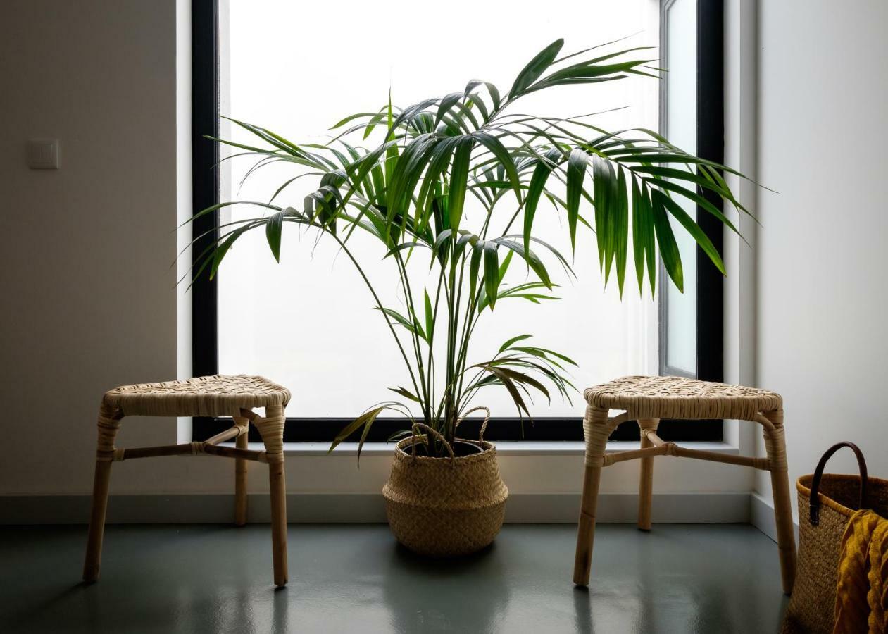Casa Do Vento By Home Sweet Home Aveiro Ngoại thất bức ảnh